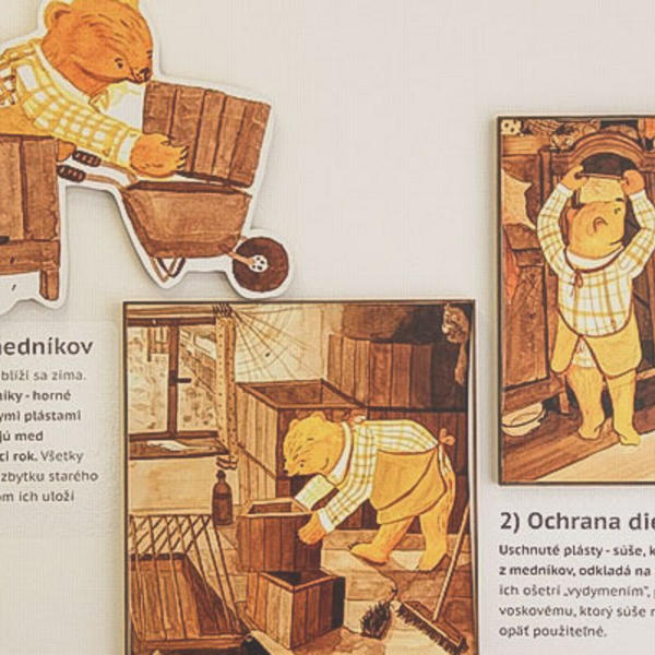 O živote včiel